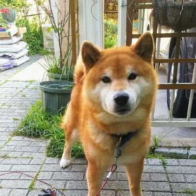 hiyo_spiral's profile picture. いつもいつでもいつまでも！