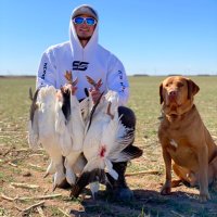 Cody_Halcom (@codyhalcom) 's Twitter Profile