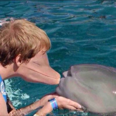 CasuaL_Dolphin's profile picture. 