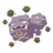 weezingofficial's profile image