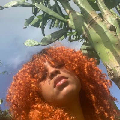 jacegicelle's profile picture. 