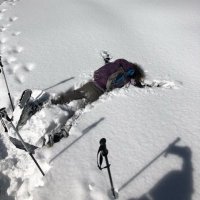 Vickie A (@utsnowhunter) 's Twitter Profile