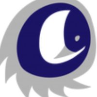The Overachiever (@iaoverachiever) 's Twitter Profile