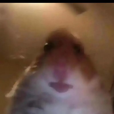 Bugoff61195078's profile picture. Lol