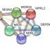 NPRL3 Gene Duplication/Mutation (@nprl3_gene) Twitter profile photo