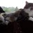 SimonBell_ows's profile image