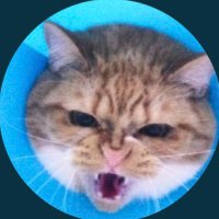 。 (@tanukoropoyon) 's Twitter Profile Photo 。 (@tanukoropoyon) 's Twitter Profile Photo