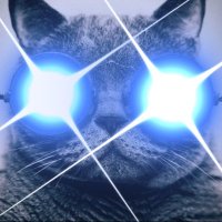 Qencrypted (@qencrypted) 's Twitter Profile