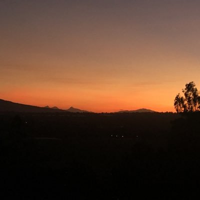 tanyadelarosam's profile picture. 