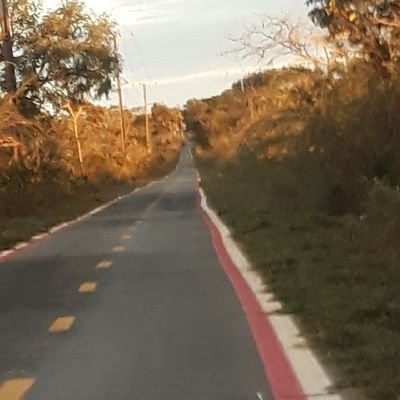 Alcino65162676's profile picture. gratidão