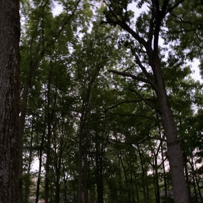 alphabet007z's profile picture. 