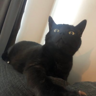 samanthaab114's profile picture. I will right wrong and triumph over evil... and that means you!