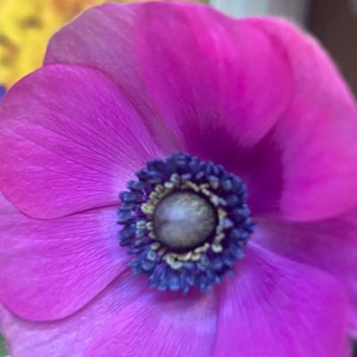 GUpnfimyBEA1Gnx's profile picture. 