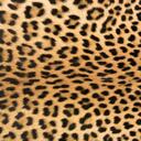 Ella Rabe - @EJMEvents - Twitter