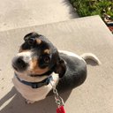 Carson Wong - @CarsonW28570705 - Twitter