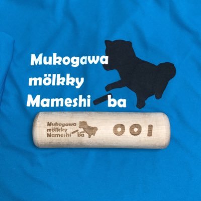 mukogawa_molkky Profile Picture