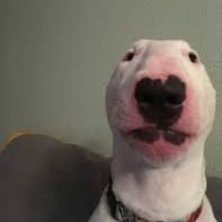medical_not's profile picture. good morning