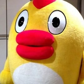 iiJc65jtfcckkhM's profile picture. 道央だよーよろしくでーす