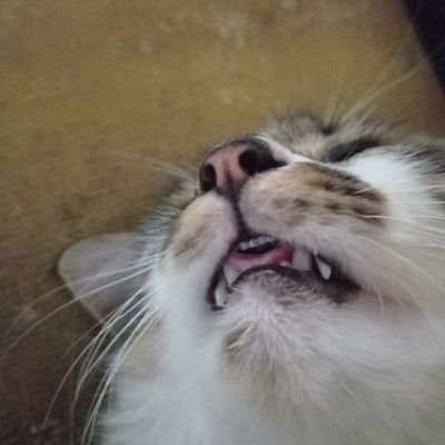 hendrawan_a_w's profile picture. Hi