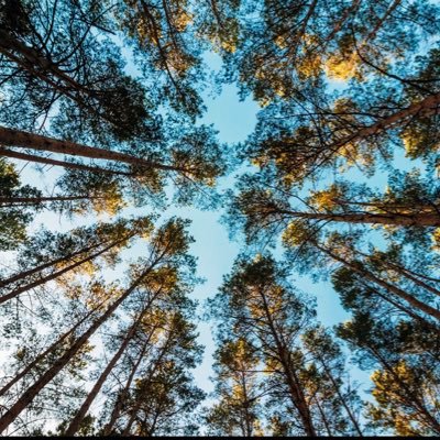 summer8181969's profile picture. 