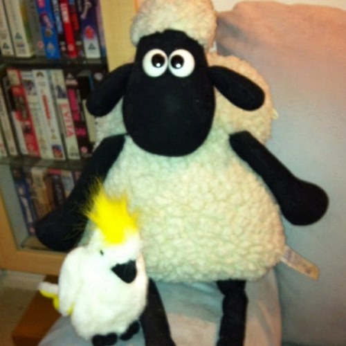 tashritu's profile picture. 