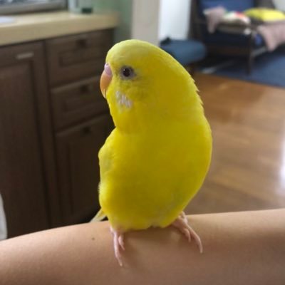 動物と旅行と服が好き！お笑いと飛行機とラグビーも少々！
