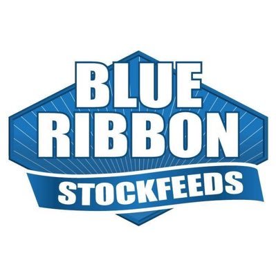 blueribbonfeeds's profile picture. We produce quality feed products manufactured from Queensland grown grains.