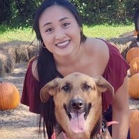 Jackie Nguyen(@JackiePNguyen) 's Twitter Profile Photo