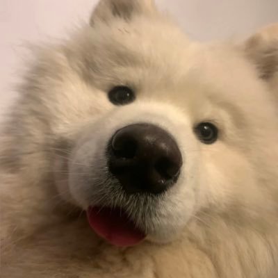 Kilig_77's profile picture. 分享另一個我（brat｜放荡又纯情｜不约｜不出号｜好友🚪