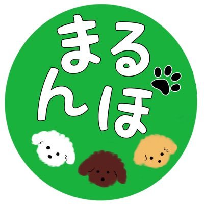 まるんぽチャンネル☆キャンピングカー&ハイエース旅