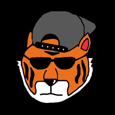 Just a Bengals fan that likes to wear hats. Fan since 2009. #WhoDey #RuleTheJungle 🐅 and VT Hokie alumni!🦃
