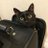くろねこのアイコン