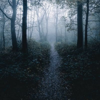 safeena3110's profile picture. 