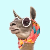 M (@mousa3336) 's Twitter Profile
