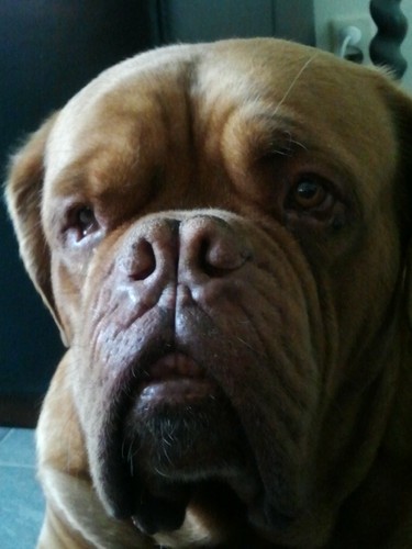 KARLIEN82's profile picture. 