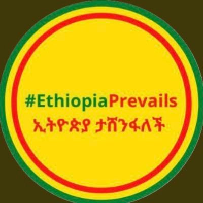 TPLF Archived is a Twitter account created for the purpose of storing false and inaccurate information tweeted/shared by TPLF cadres.