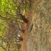 KhunTongOutdoorZa (@outdoor_za) Twitter profile photo KhunTongOutdoorZa (@outdoor_za) Twitter profile photo