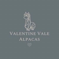 Valentine Vale Alpacas(@VValealpacas) 's Twitter Profile Photo