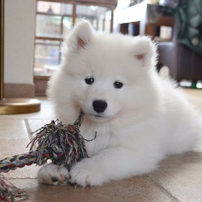 墨時さんのプロフィール画像
