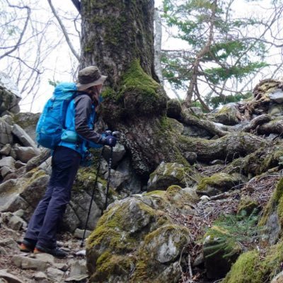 永遠の初心者ハイカー。ハイキング・縦走・雪山・テント泊など気ままにのんびり楽しんでいます。 山ブログ始めたけど続かなくて辞めちゃいました。でも、山歩きは続行中♫ 2022年8月からずーーーっとサボっていたランニング再開します。無言フォローすみません! 山&ランニング関連アカウントです。