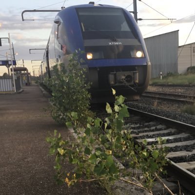 Deux-sévriens perdu dans sa campagne... Conducteur de train à Rennes ! C’est qui Hugo ? LES POTES AU 🔥 107 Poule(sans s) Créateur de DRGD