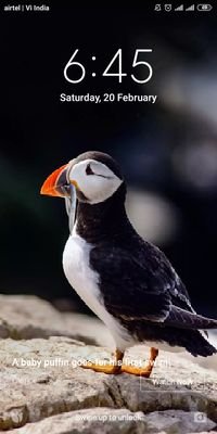 KundanK08971277's profile picture. student