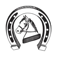 Killarney Jaunting Cars (@killarneytours) 's Twitter Profile