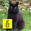 tigerloun's profile picture. Parent, Scot, European, YBFSI, skeptic, right handed, left thinking, cat person