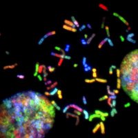 Exeter Medical Sciences (@exetermedsci) 's Twitter Profile
