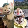 ChipdaleTomoko's profile picture. Chip&Dale、Gelatoni／🐱に会うため上海迪士尼ほぼ毎月通ってた人／ #おはようトーニ／野球観戦(西武ライオンズ)はオシゴト／球マス大好き(レオ・ライナ、ポリー)／  #じぇら夫の球場探訪2024／ #じぇら夫の球場探訪2023／ #じぇら夫の香港2023