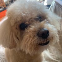Tatsuya (@tatsuya31731396) Twitter profile photo