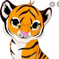 Cults Academy RONAN HOUSE (@cultsacadronan) Twitter profile photo