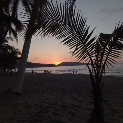 GamaJulk's profile picture. 