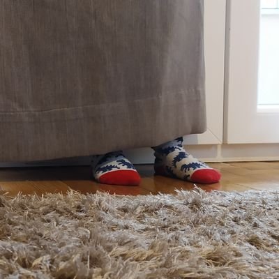 giotououou's profile picture. 